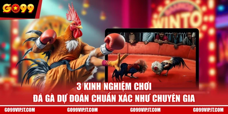 3 Kinh Nghiệm Chơi Đá Gà Dự Đoán Chuẩn Xác Như Chuyên Gia