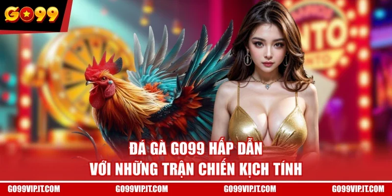 Đá gà GO99 hấp dẫn với những trận chiến kịch tính