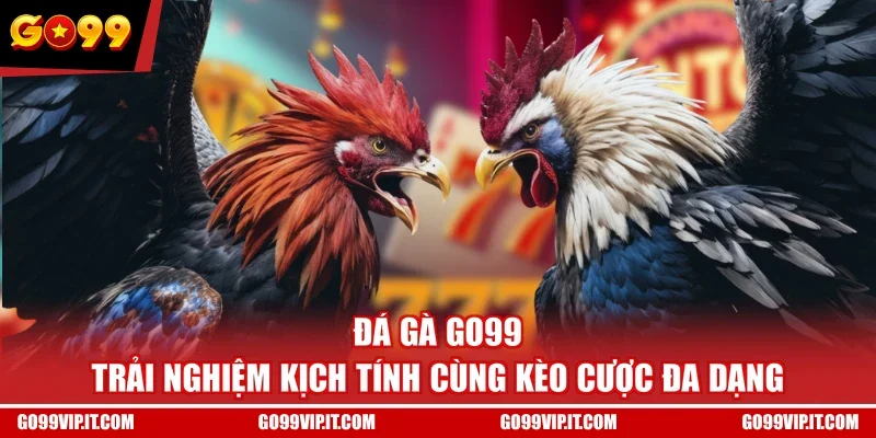 Đá Gà GO99 - Trải Nghiệm Kịch Tính Cùng Kèo Cược Đa Dạng