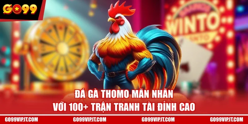 Đá Gà Thomo Mãn Nhãn Với 100+ Trận Tranh Tài Đỉnh Cao