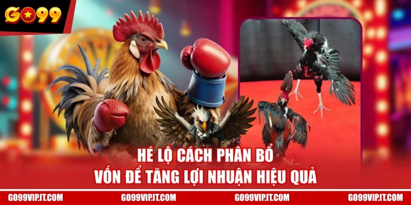 Hé lộ cách phân bổ vốn để tăng lợi nhuận hiệu quả