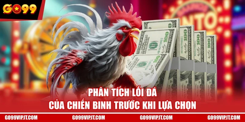 Phân tích lối đá của chiến binh trước khi lựa chọn