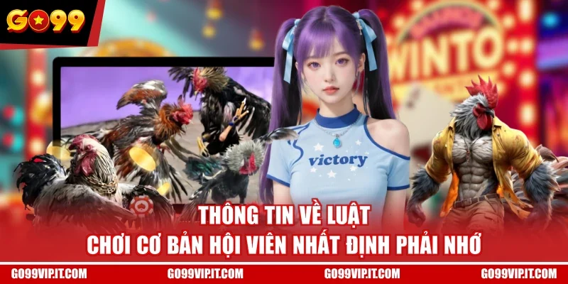 Thông tin về luật chơi cơ bản hội viên nhất định phải nhớ