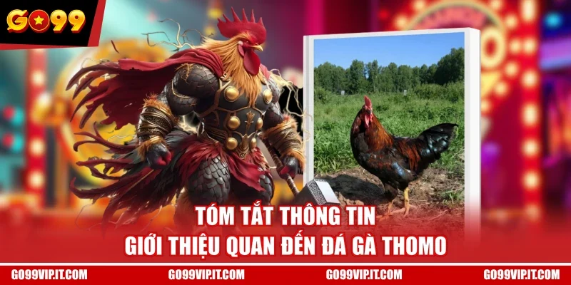 Tóm tắt thông tin giới thiệu quan đến đá gà Thomo